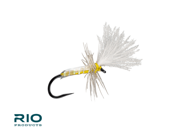 Slick Midge Adult