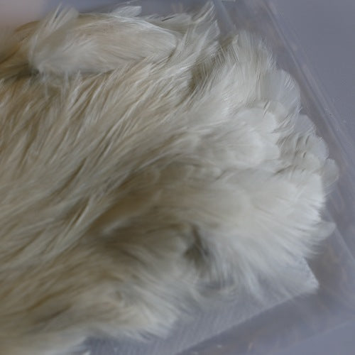 INDIAN CAPE