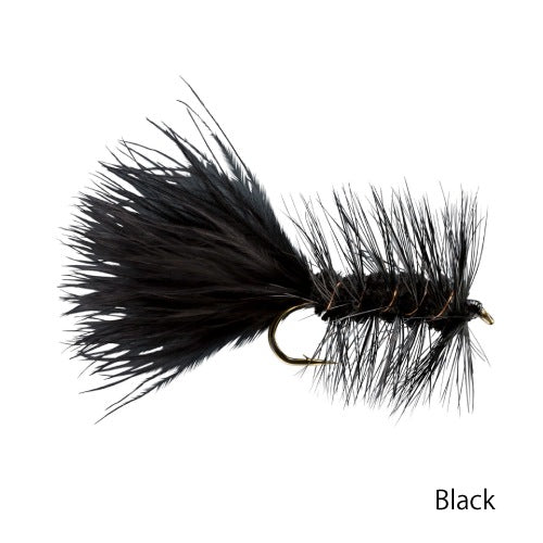 Woolly Bugger