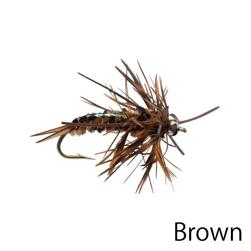 Speculator