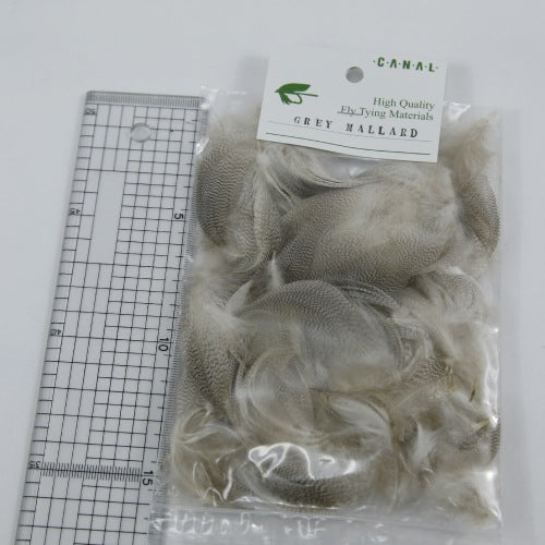 GREY MALLARD Bulk Pack
