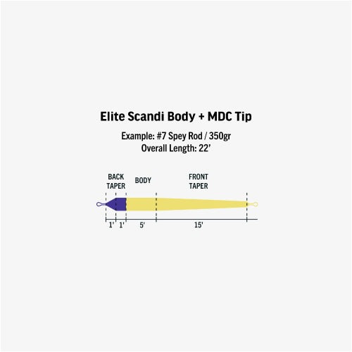 Elite Scandi Body
