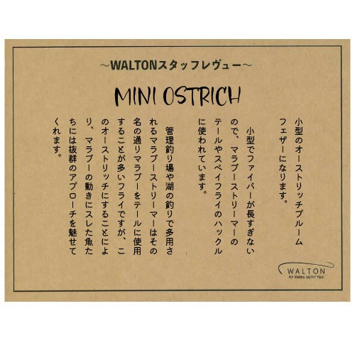 MINI OSTRICH