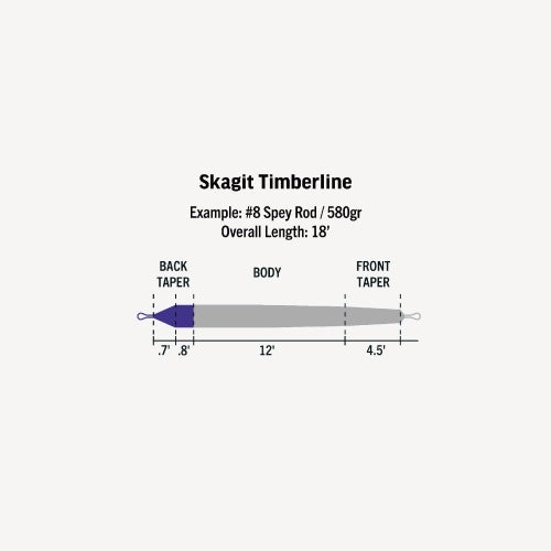 SKAGIT TIMBERLINE