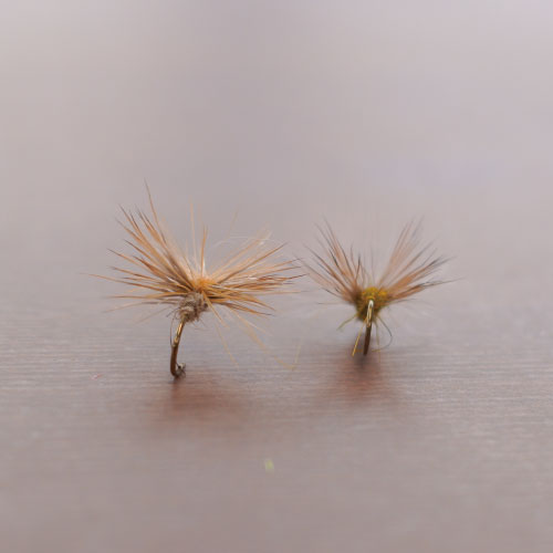 King Splitsville Caddis