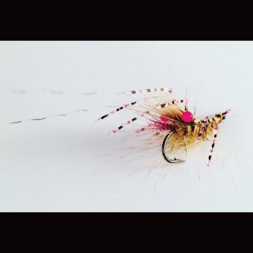 Easy Shrimp Legs 2.0