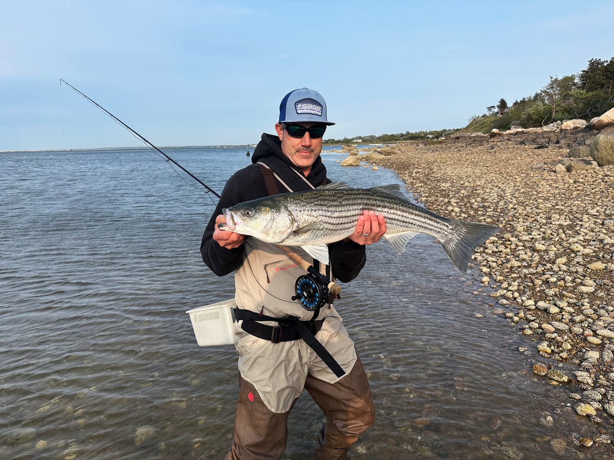 石の多い浜辺でストライパーを掲げるDave Steeves