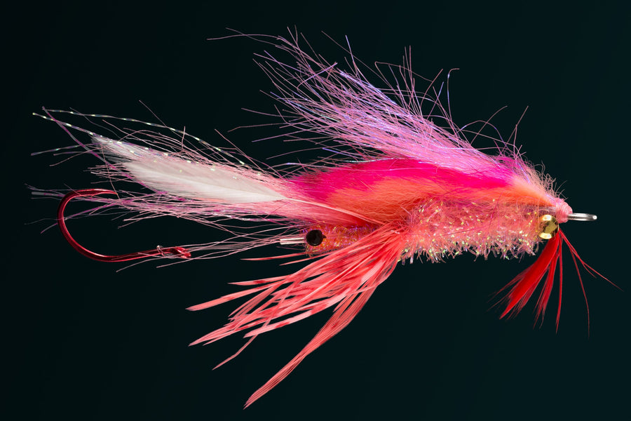 ピンクとオレンジのRIO's Ghostbuster Shrimp