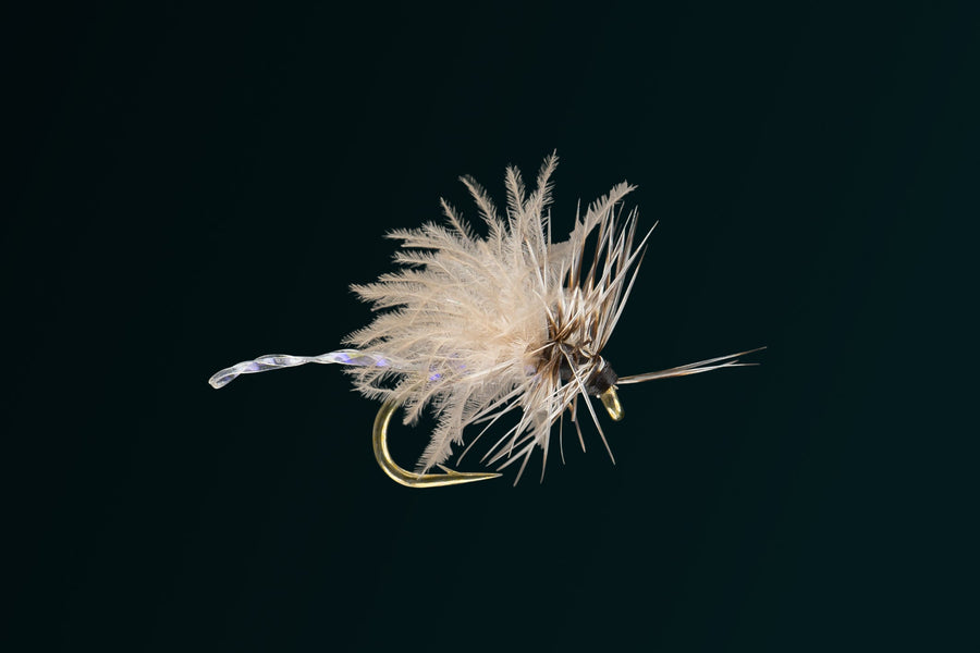 黒い背景に浮かぶRIO's Caviar Midge