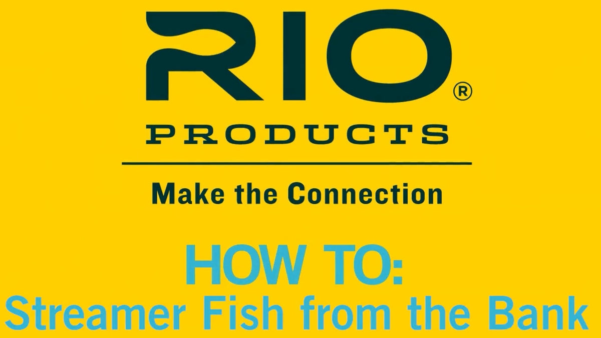 「HOW TO: Streamer Fish from the Bank」と書かれたRIOのタイトル画像