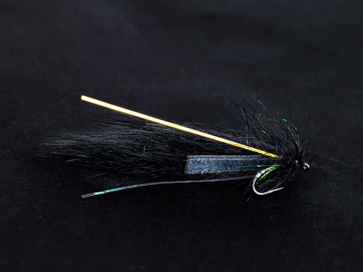 黒い背景に置かれた黒いリーチパターンのLittle Leech