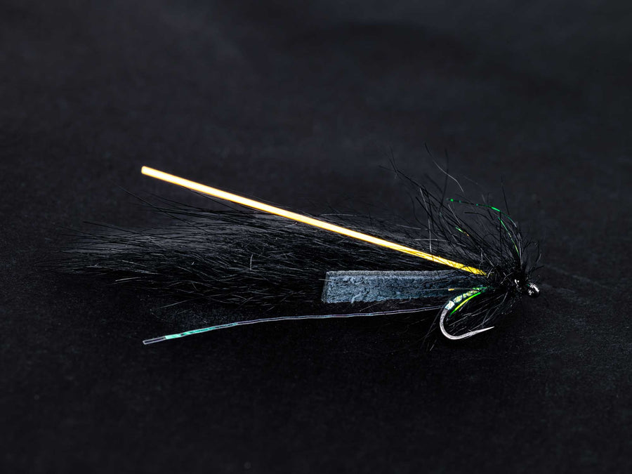 黒い背景に置かれた黒いリーチパターンのLittle Leech