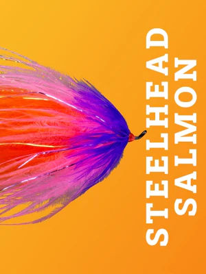SPEY