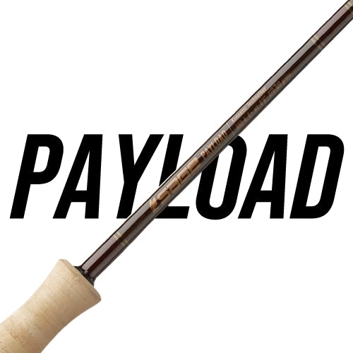 PAYLOAD