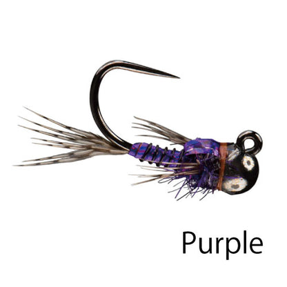 RIO's Morrish Sparkle Donkey TB