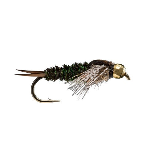 Twenty Incher TB