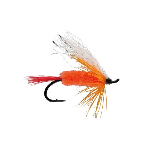 Polar Shrimp