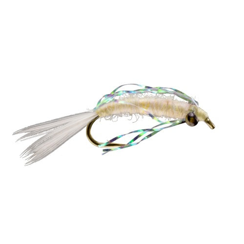 Mysis Shrimp