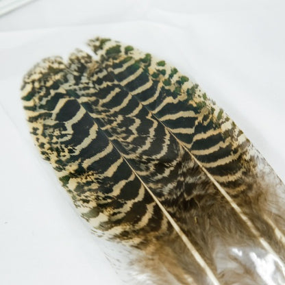 PEACOCK QUILL XS