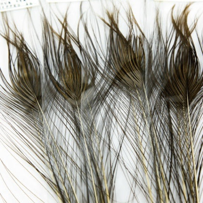 STRIPPED PEACOCK EYE XL