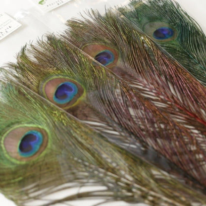 PEACOCK EYE
