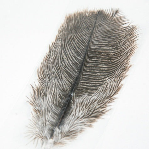 MINI OSTRICH