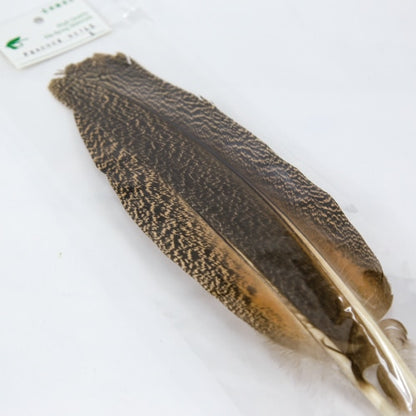 PEACOCK QUILL L