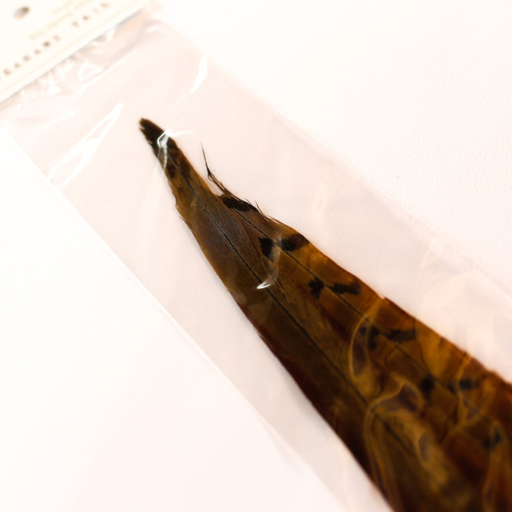 PHEASANT TAIL