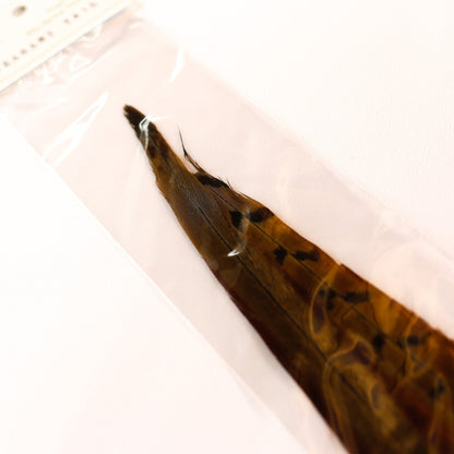 PHEASANT TAIL