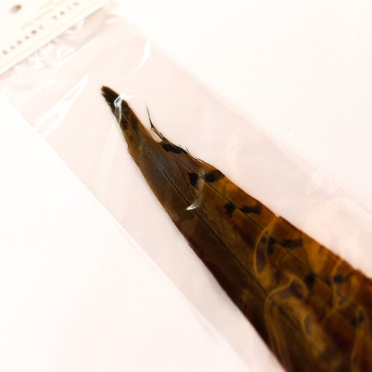 PHEASANT TAIL
