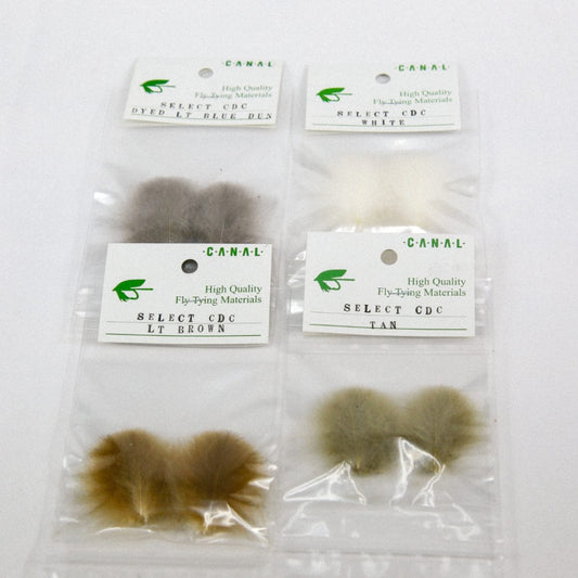 SELECT CDC