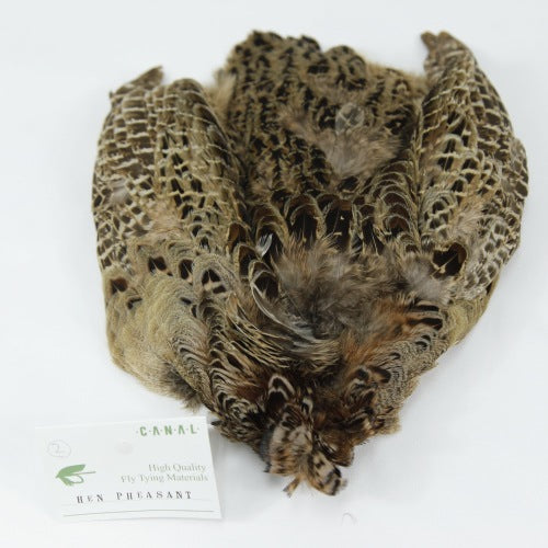 HEN PHEASANT-2