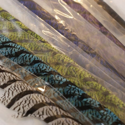 AMHERST PHEASANT TAIL
