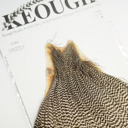 KEOUGH cape GRIZZLY #2