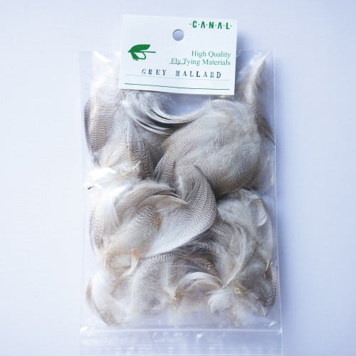 GREY MALLARD Bulk Pack
