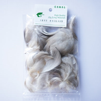 GREY MALLARD Bulk Pack