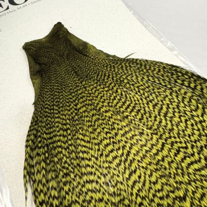 KEOUGH cape GRIZZLY OLIVE #2