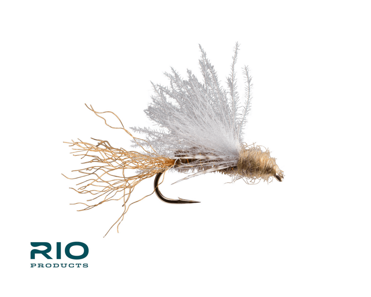 CDC Emerger