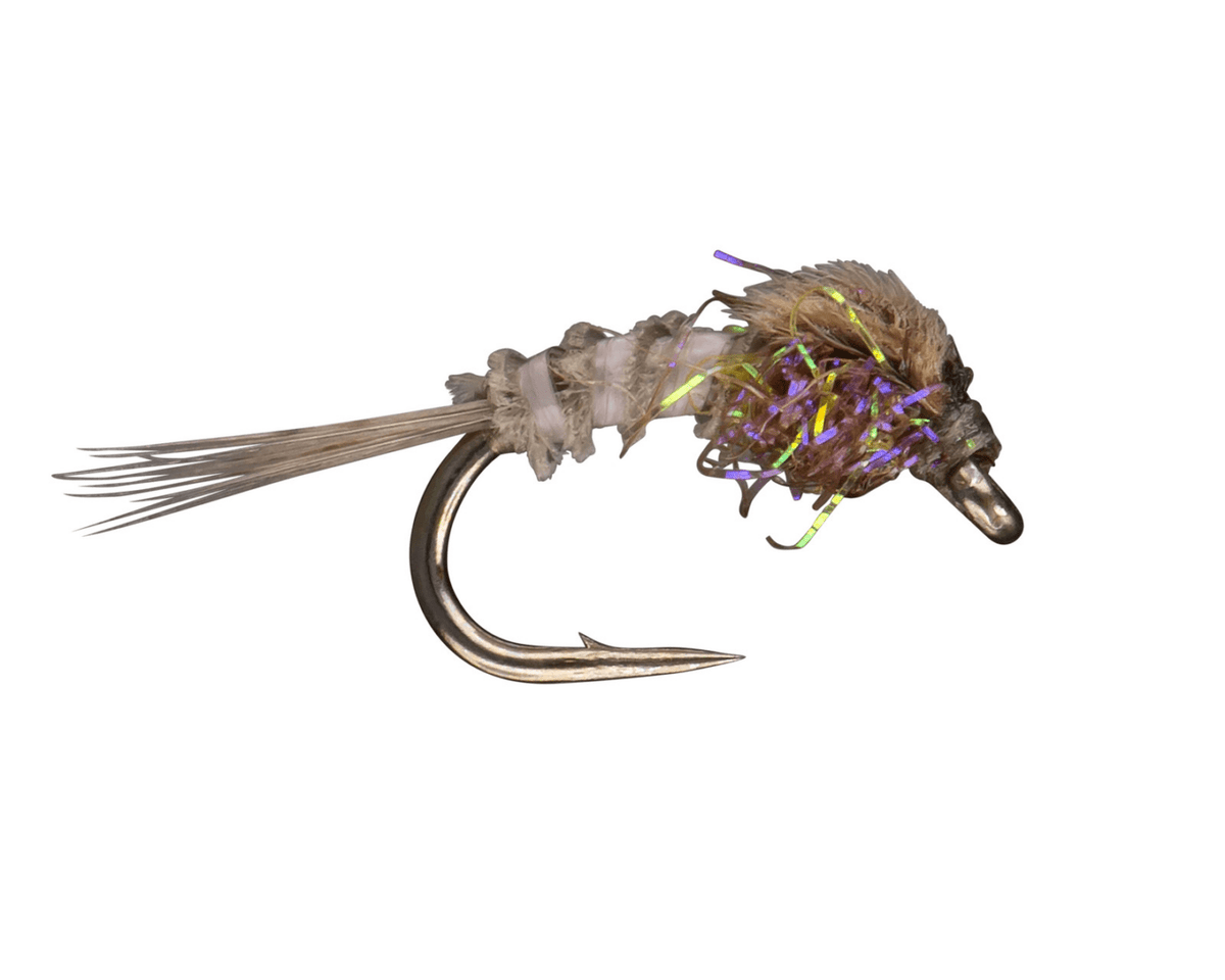 Quill Body Nymph