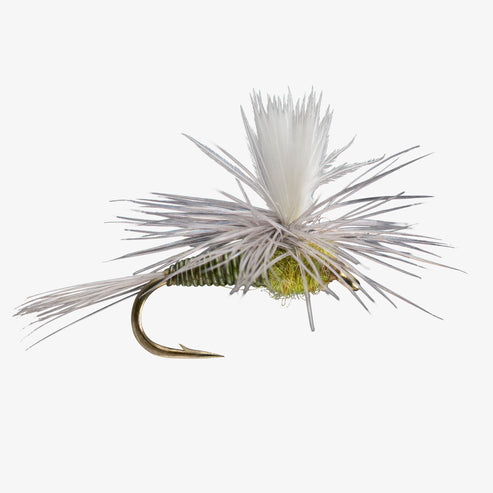 Quill Body Parachute