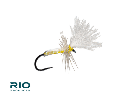 Slick Midge Adult