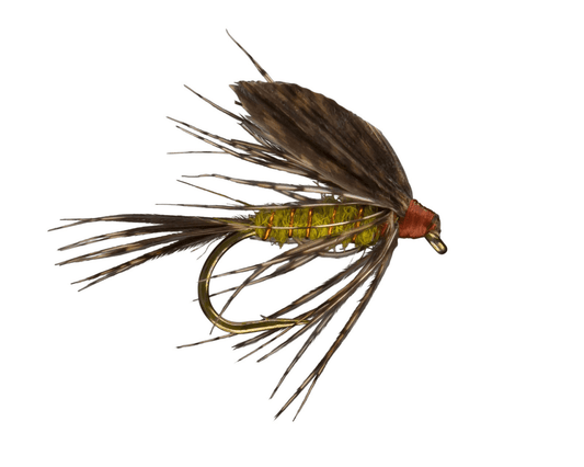 Western Emerger
