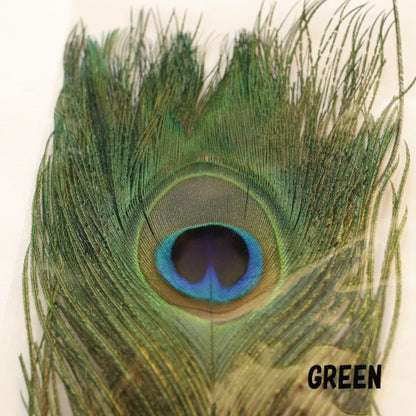 PEACOCK EYE