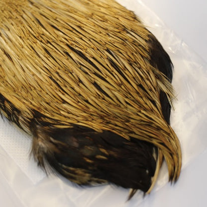 INDIAN CAPE (FOR DRY FLY)