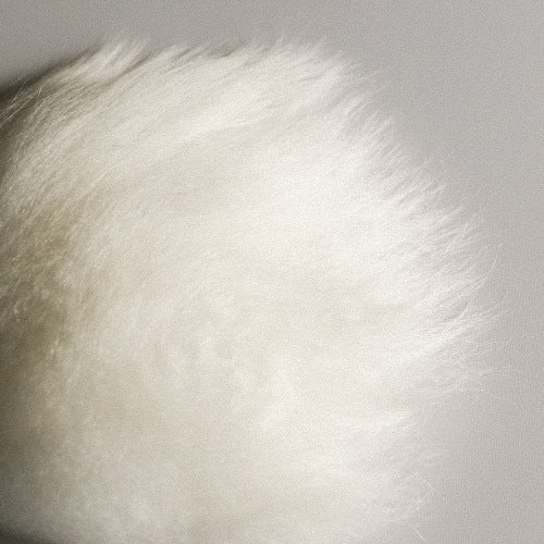 RAMSWOOL L