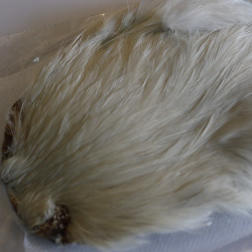 INDIAN CAPE