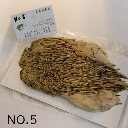 INDIAN CAPE (FOR DRY FLY)
