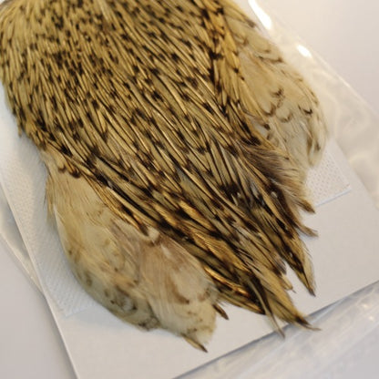 INDIAN CAPE (FOR DRY FLY)