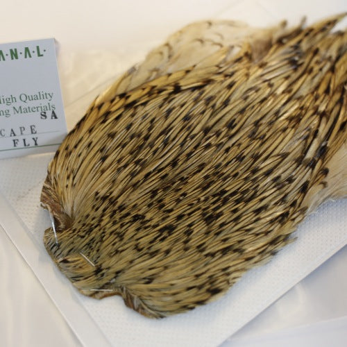 INDIAN CAPE (FOR DRY FLY)