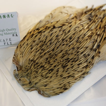 INDIAN CAPE (FOR DRY FLY)